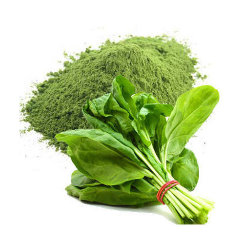 Spinach (Palak) Powder