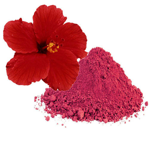 Organic Hibiscus Powder (Jasud Powder)