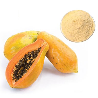 Papaya Powder